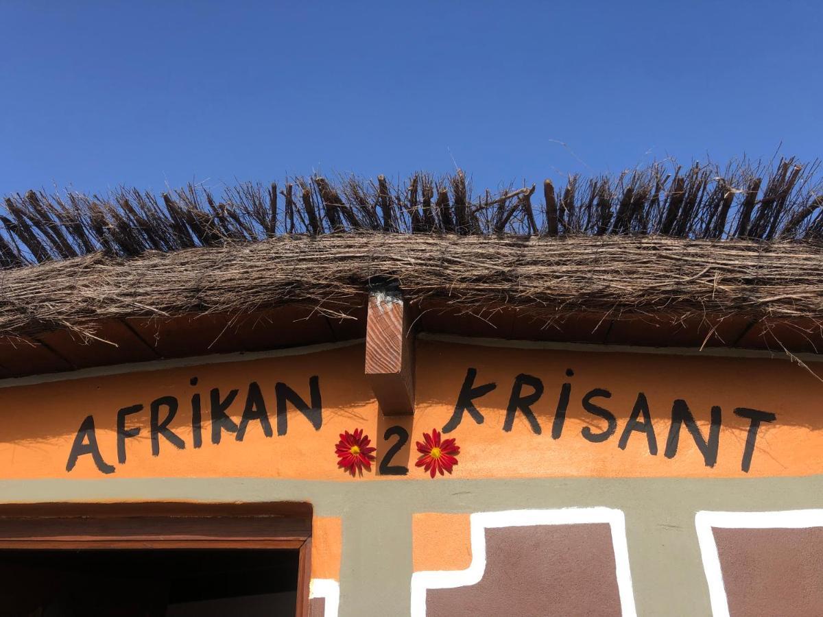 Afrikan Krisant Tenerife, Casa Rural Ecologica Arafo Exterior foto