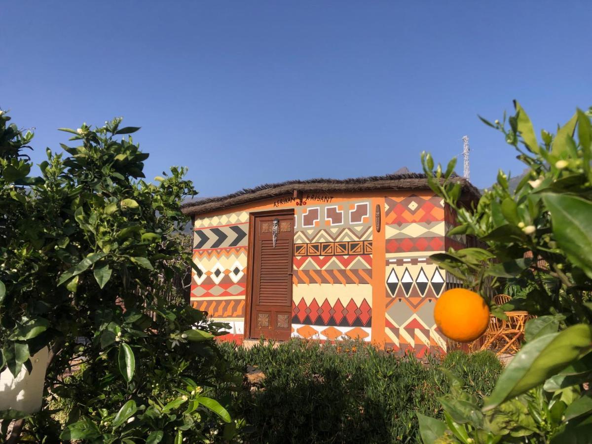 Afrikan Krisant Tenerife, Casa Rural Ecologica Arafo Exterior foto