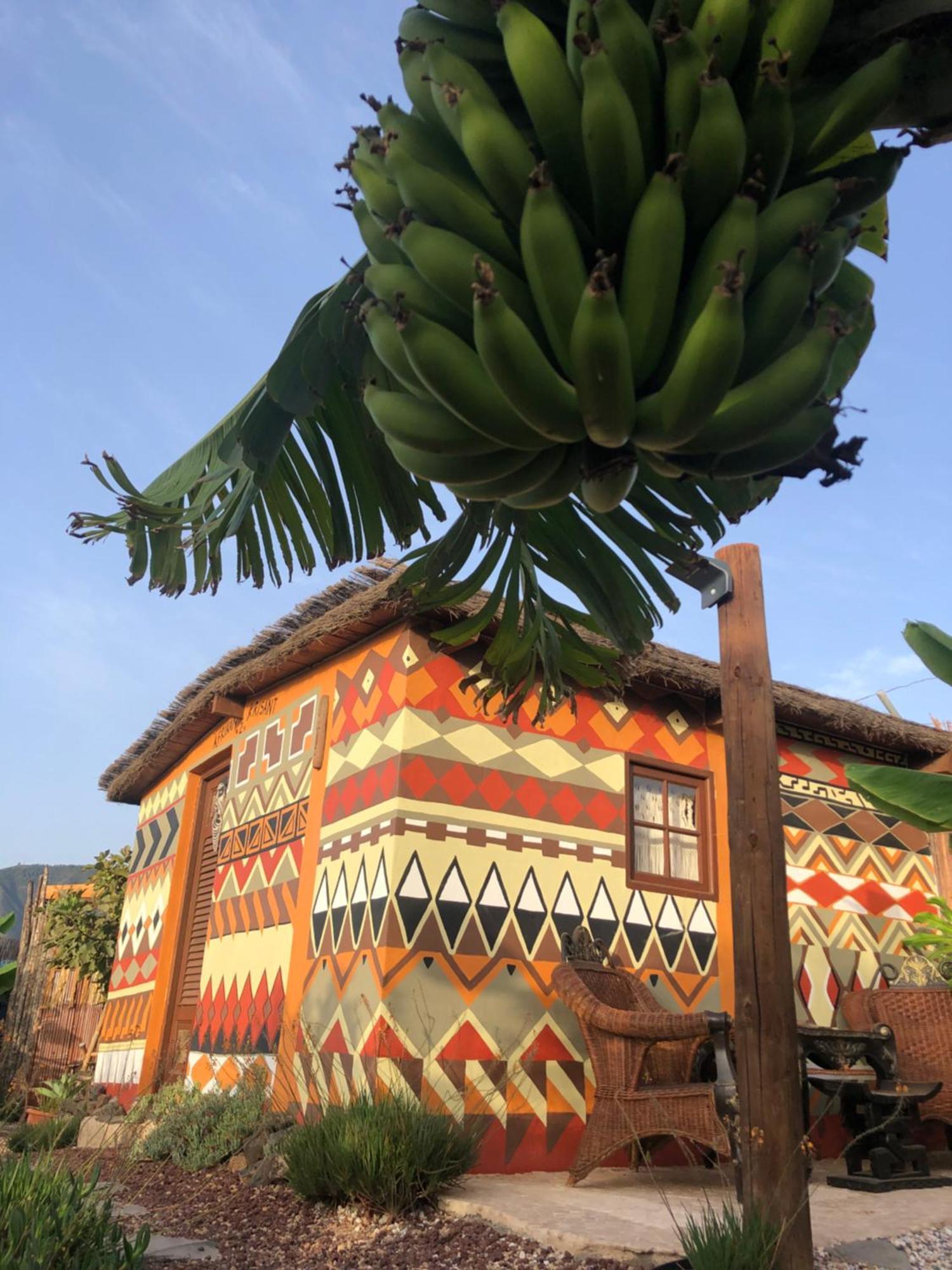Afrikan Krisant Tenerife, Casa Rural Ecologica Arafo Exterior foto